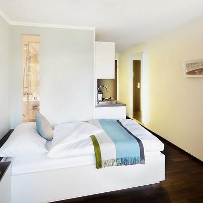 Otel The Flag 2*